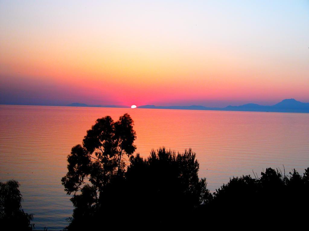 Villa Laura Sea View Apartments Santa Maria di Castellabate Eksteriør bilde