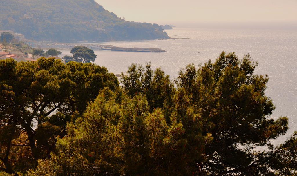 Villa Laura Sea View Apartments Santa Maria di Castellabate Eksteriør bilde
